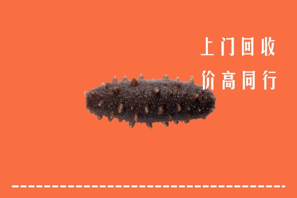 高价求购：分宜回收海参