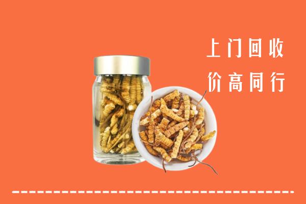 分宜回收冬虫夏草