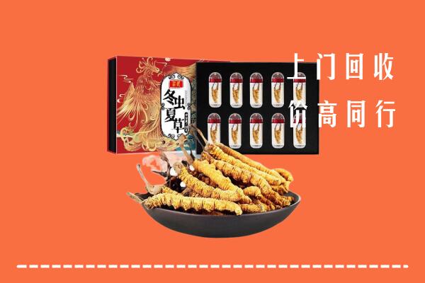 分宜回收虫草